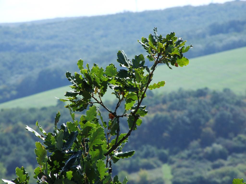 Penzion Julkin Dvor Krupina Esterno foto